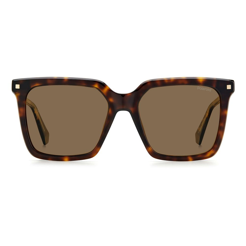 Polaroid Brown Acetate Sunglasses