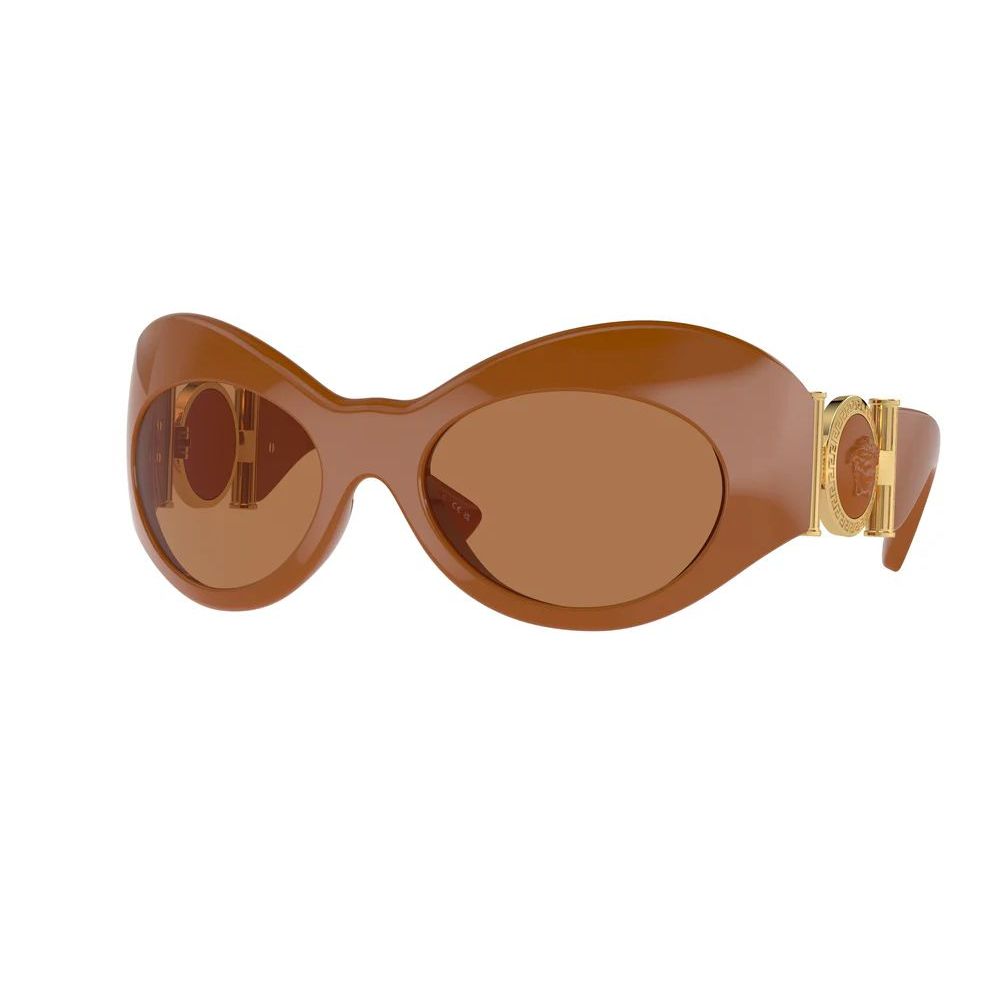 Versace Brown Acetate Sunglasses